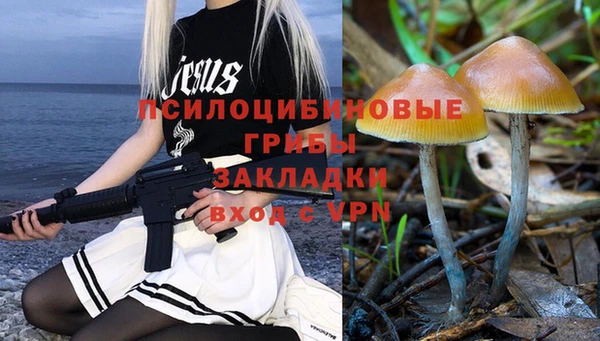 тгк Балахна